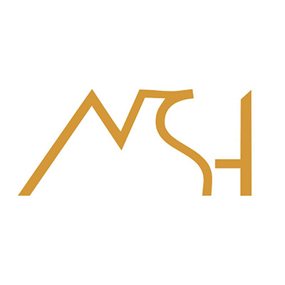 NSH logo